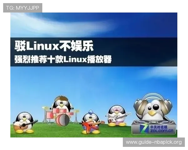 b体育网址娱乐平台哪个好适合新手玩家的入门指南与推荐平台